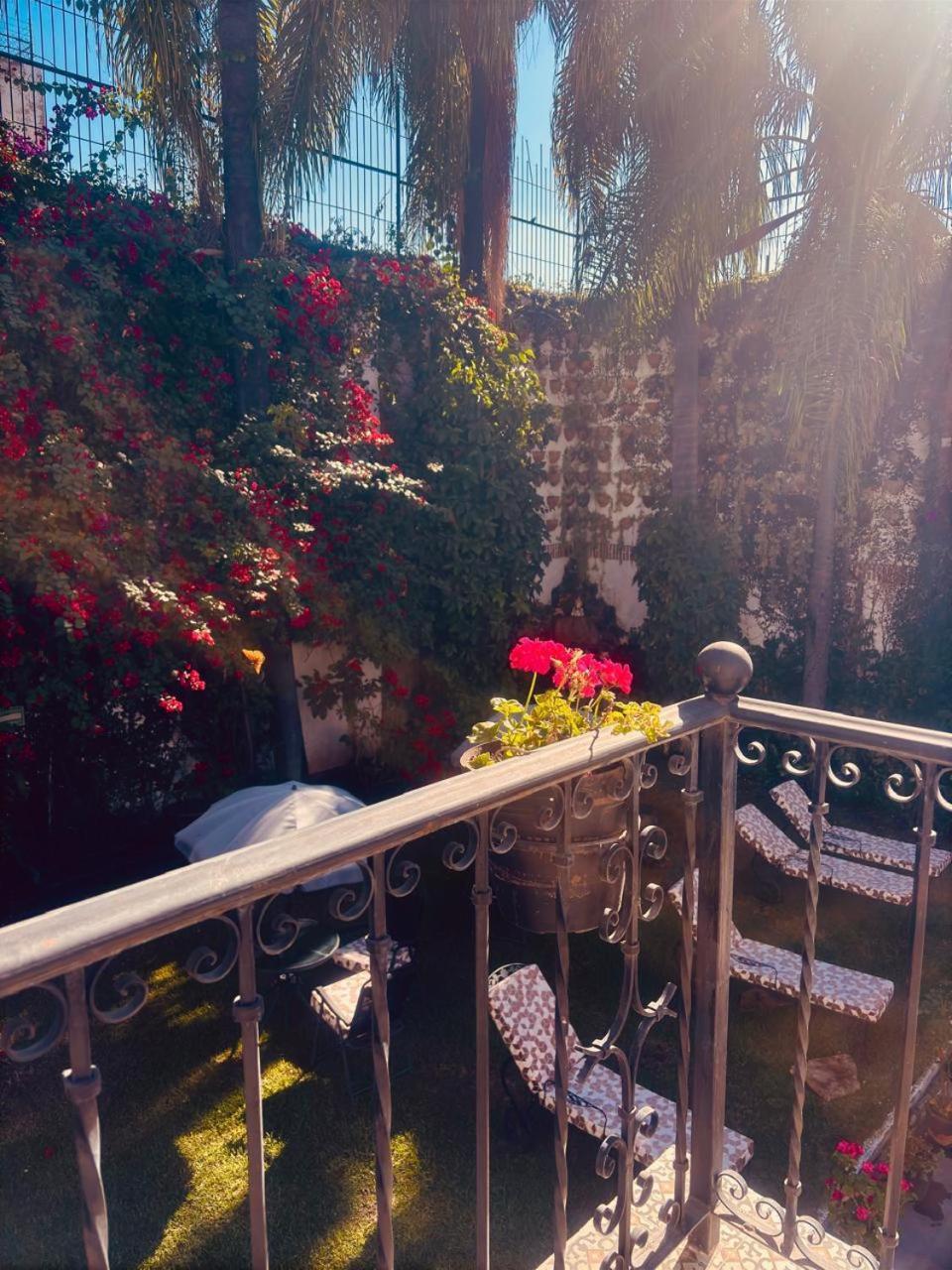 Hotel Boutique La Mansion 과달라하라 외부 사진
